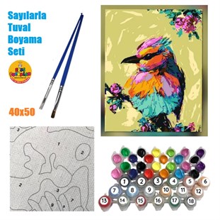 Sayılarla Tuval Boyama Ahşap Çerçeveli Renkli Kuş Serçe + Fırça + Akrilik Boyalar